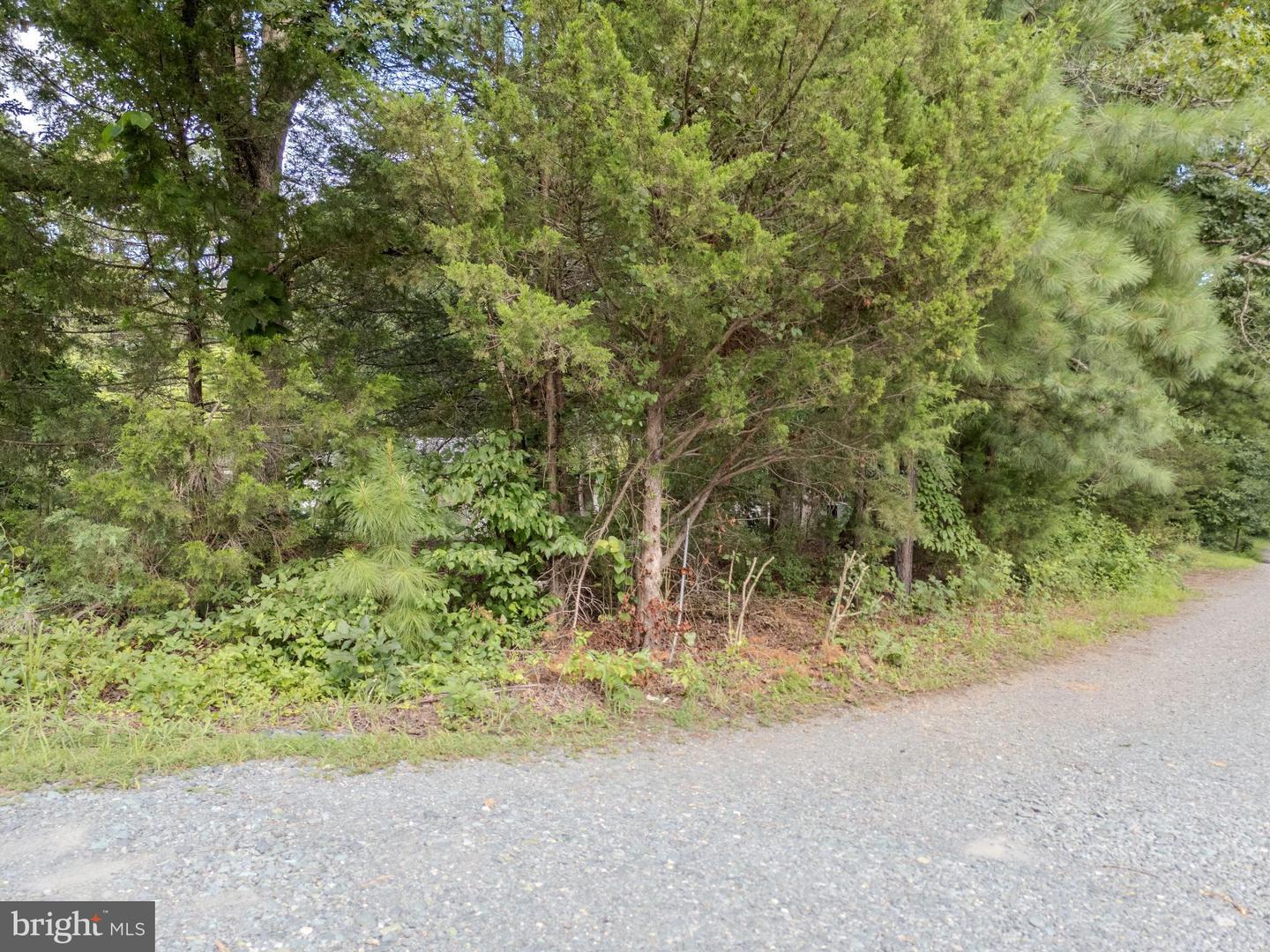 14 HANBACK RD, GORDONSVILLE, Virginia 22942, ,Land,For sale,14 HANBACK RD,VALA2008756 MLS # VALA2008756 14 HANBACK RD, GORDONSVILLE, Virginia 22942, ,Land,For sale,14 HANBACK RD,VALA2008756 MLS # VALA2008756