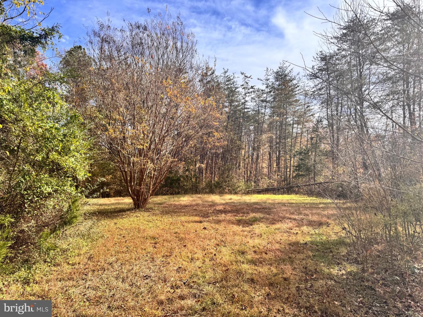 432 LITTLE RIVER FARMS RD, BUMPASS, Virginia 23024, ,Land,For sale,432 LITTLE RIVER FARMS RD,VALA2008826 MLS # VALA2008826 432 LITTLE RIVER FARMS RD, BUMPASS, Virginia 23024, ,Land,For sale,432 LITTLE RIVER FARMS RD,VALA2008826 MLS # VALA2008826