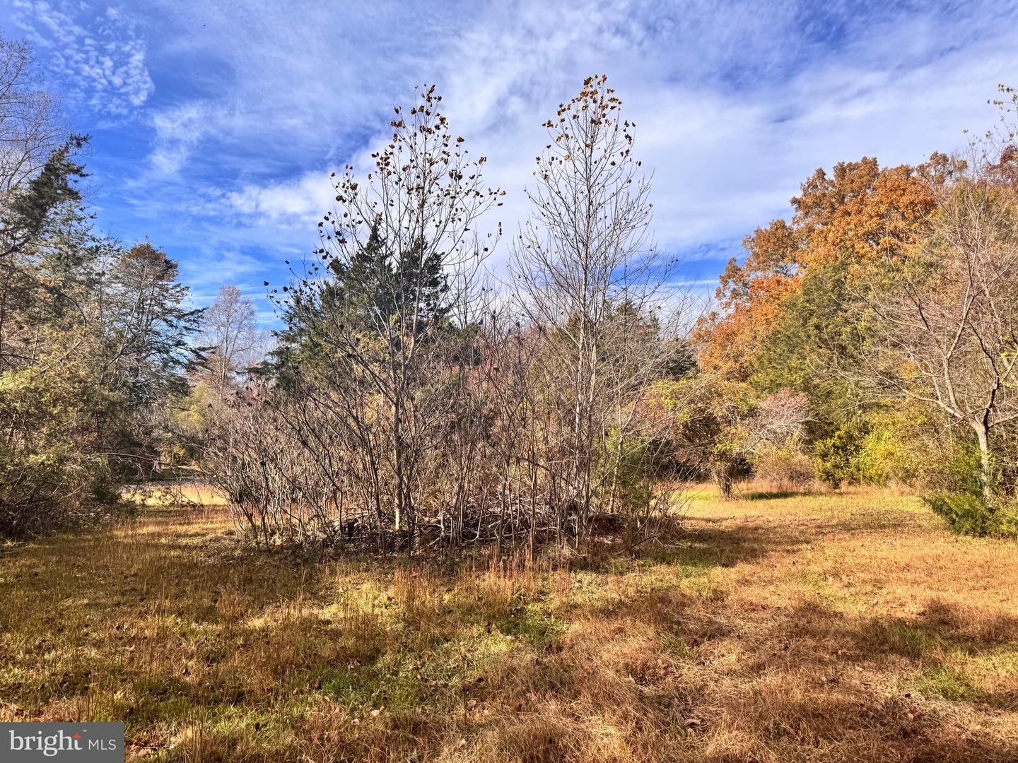 432 LITTLE RIVER FARMS RD, BUMPASS, Virginia 23024, ,Land,For sale,432 LITTLE RIVER FARMS RD,VALA2008826 MLS # VALA2008826 432 LITTLE RIVER FARMS RD, BUMPASS, Virginia 23024, ,Land,For sale,432 LITTLE RIVER FARMS RD,VALA2008826 MLS # VALA2008826