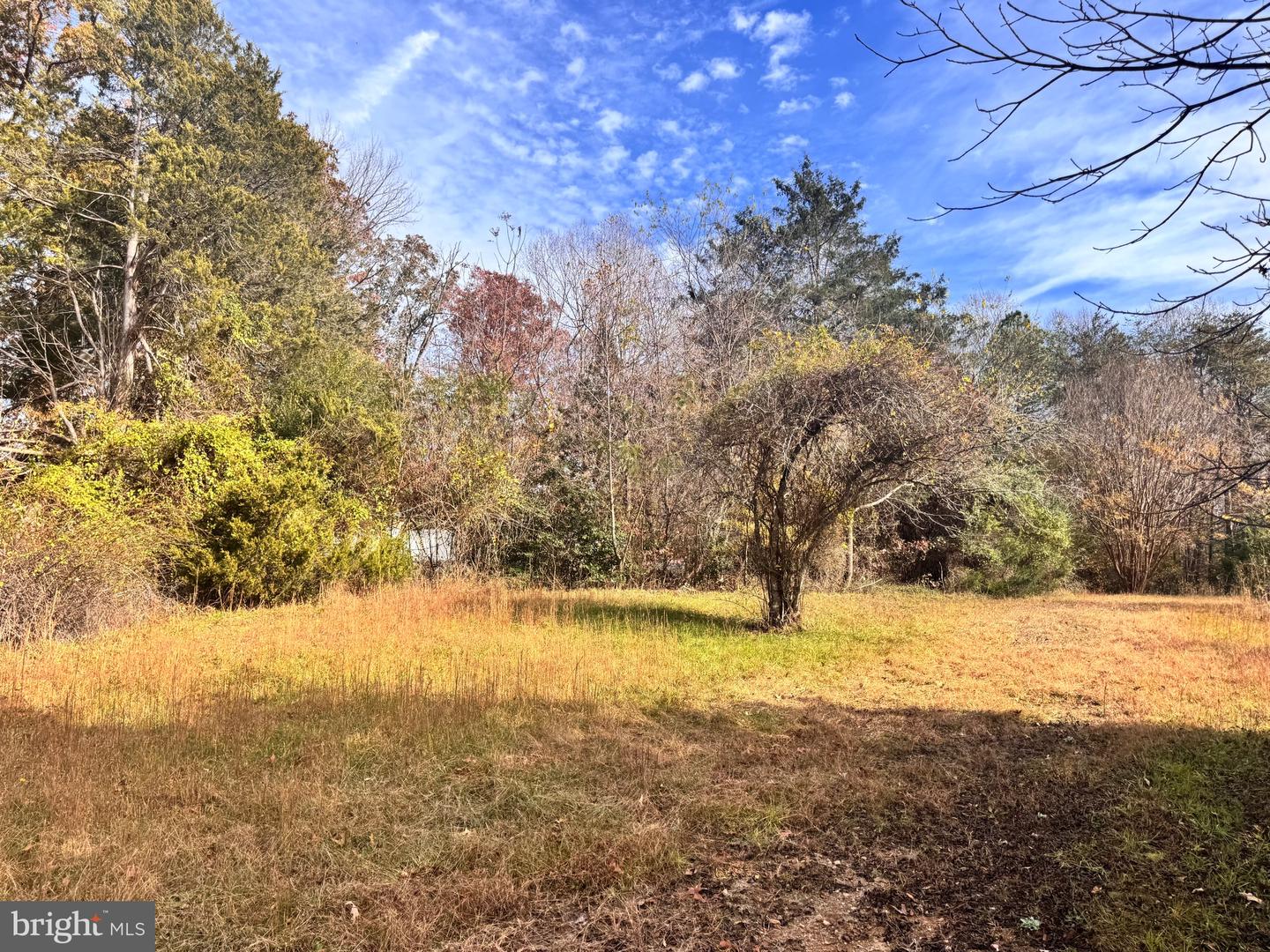 432 LITTLE RIVER FARMS RD, BUMPASS, Virginia 23024, ,Land,For sale,432 LITTLE RIVER FARMS RD,VALA2008826 MLS # VALA2008826 432 LITTLE RIVER FARMS RD, BUMPASS, Virginia 23024, ,Land,For sale,432 LITTLE RIVER FARMS RD,VALA2008826 MLS # VALA2008826