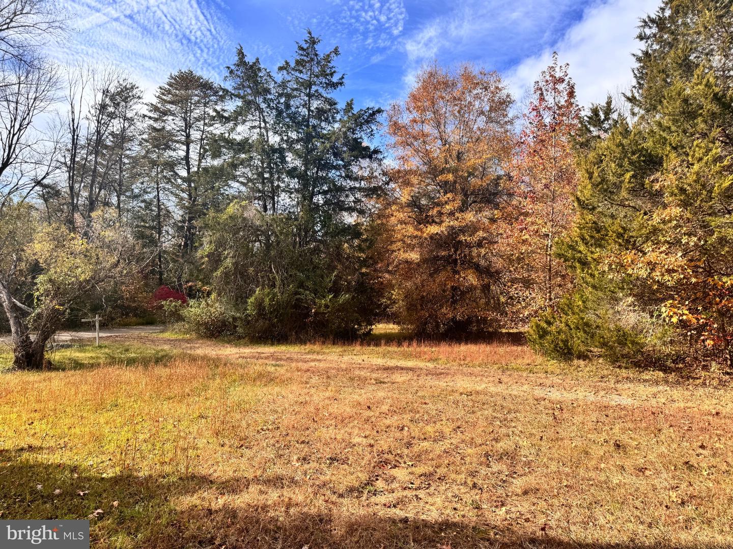 432 LITTLE RIVER FARMS RD, BUMPASS, Virginia 23024, ,Land,For sale,432 LITTLE RIVER FARMS RD,VALA2008826 MLS # VALA2008826 432 LITTLE RIVER FARMS RD, BUMPASS, Virginia 23024, ,Land,For sale,432 LITTLE RIVER FARMS RD,VALA2008826 MLS # VALA2008826