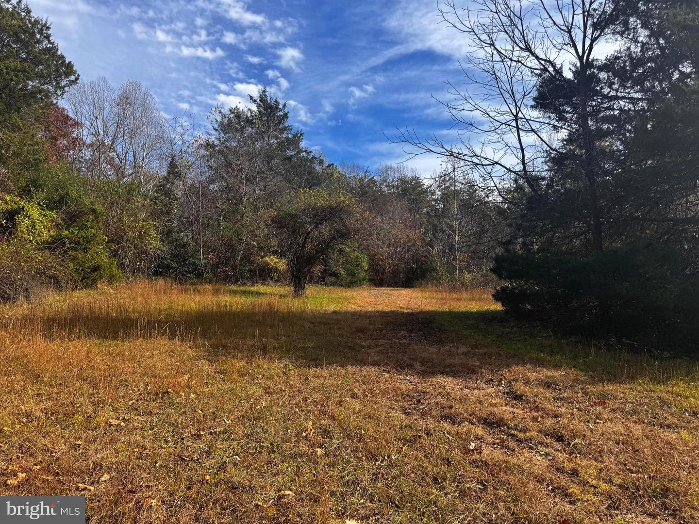 432 LITTLE RIVER FARMS RD, BUMPASS, Virginia 23024, ,Land,For sale,432 LITTLE RIVER FARMS RD,VALA2008826 MLS # VALA2008826 432 LITTLE RIVER FARMS RD, BUMPASS, Virginia 23024, ,Land,For sale,432 LITTLE RIVER FARMS RD,VALA2008826 MLS # VALA2008826