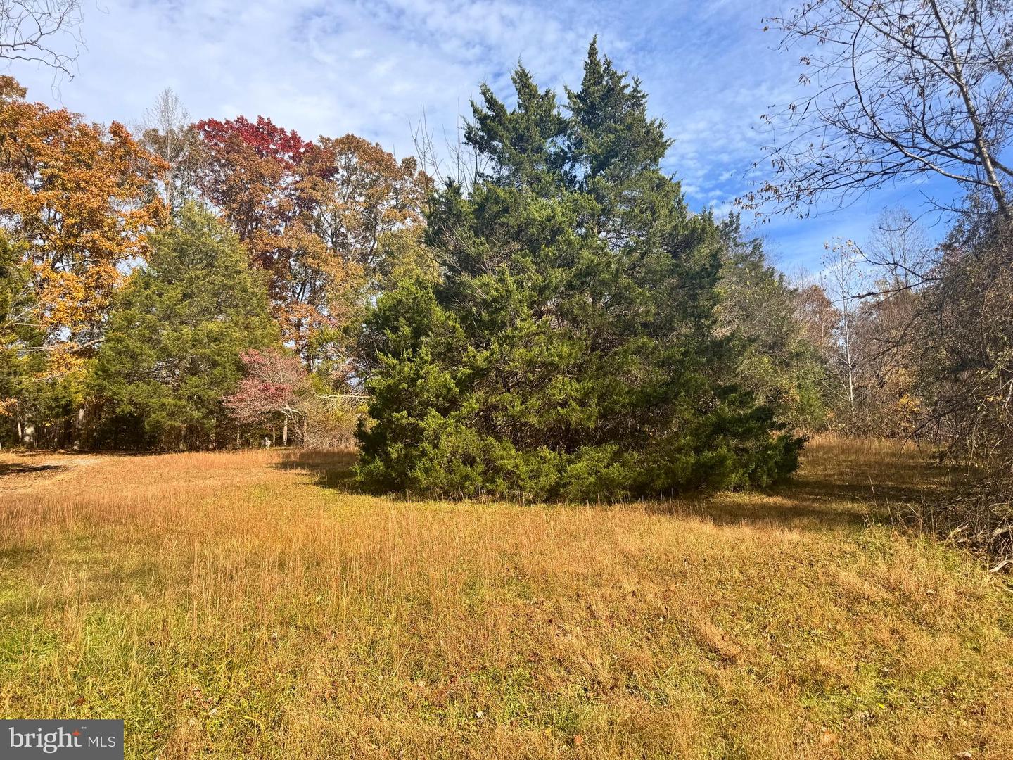 432 LITTLE RIVER FARMS RD, BUMPASS, Virginia 23024, ,Land,For sale,432 LITTLE RIVER FARMS RD,VALA2008826 MLS # VALA2008826 432 LITTLE RIVER FARMS RD, BUMPASS, Virginia 23024, ,Land,For sale,432 LITTLE RIVER FARMS RD,VALA2008826 MLS # VALA2008826