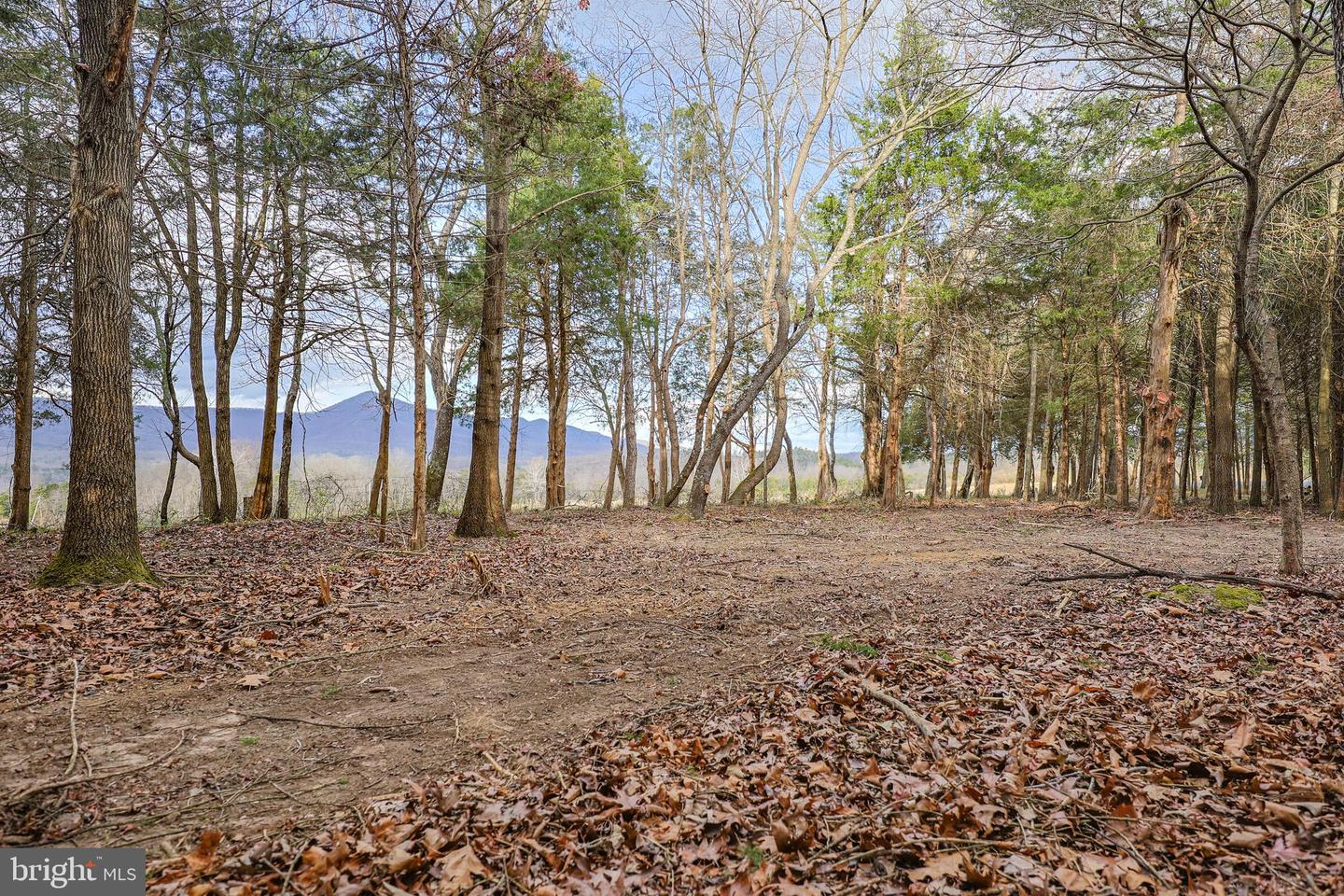 TBD RIVERBEND DR, LURAY, Virginia 22835, ,Land,For sale,TBD RIVERBEND DR,VAPA2005646 MLS # VAPA2005646