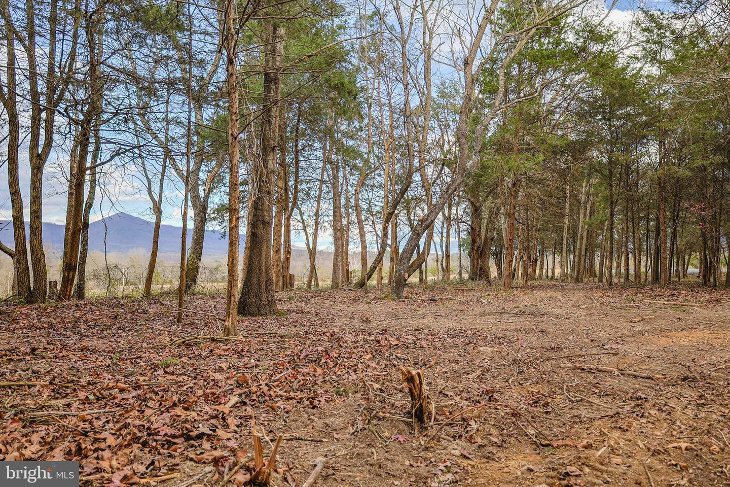 TBD RIVERBEND DR, LURAY, Virginia 22835, ,Land,For sale,TBD RIVERBEND DR,VAPA2005646 MLS # VAPA2005646