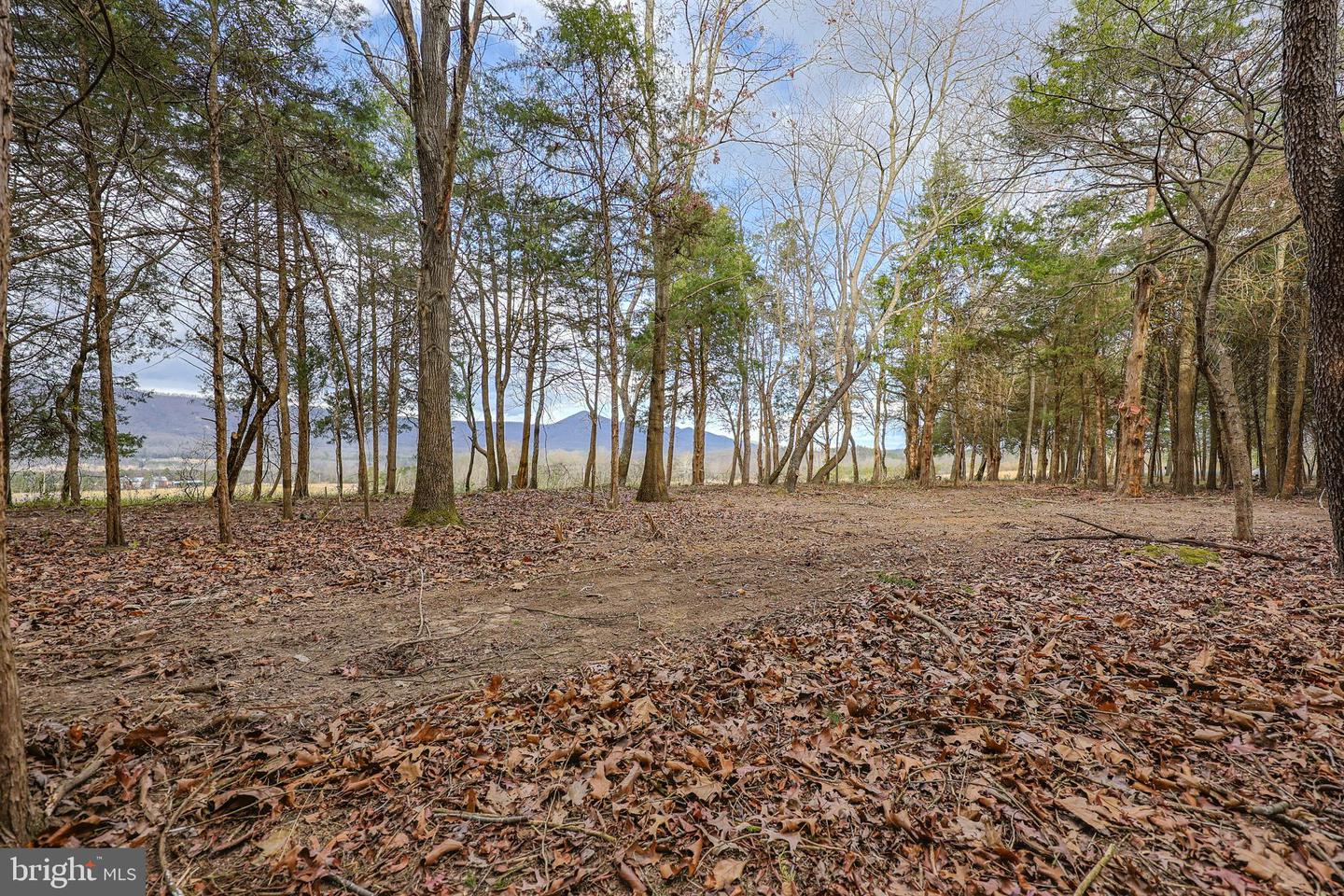 TBD RIVERBEND DR, LURAY, Virginia 22835, ,Land,For sale,TBD RIVERBEND DR,VAPA2005646 MLS # VAPA2005646