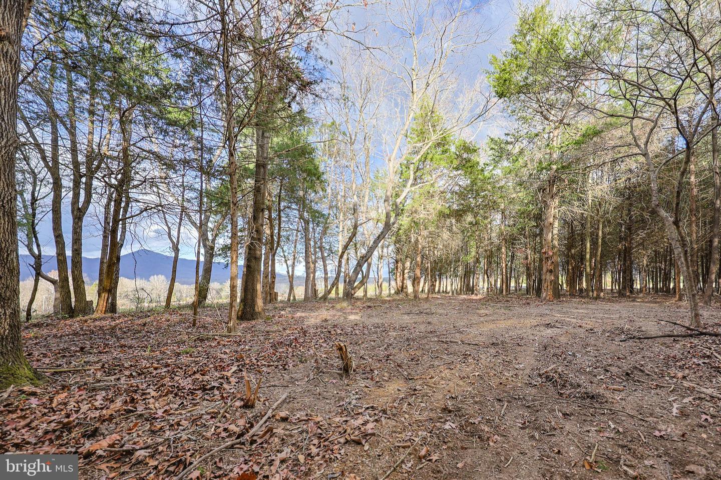 TBD RIVERBEND DR, LURAY, Virginia 22835, ,Land,For sale,TBD RIVERBEND DR,VAPA2005646 MLS # VAPA2005646