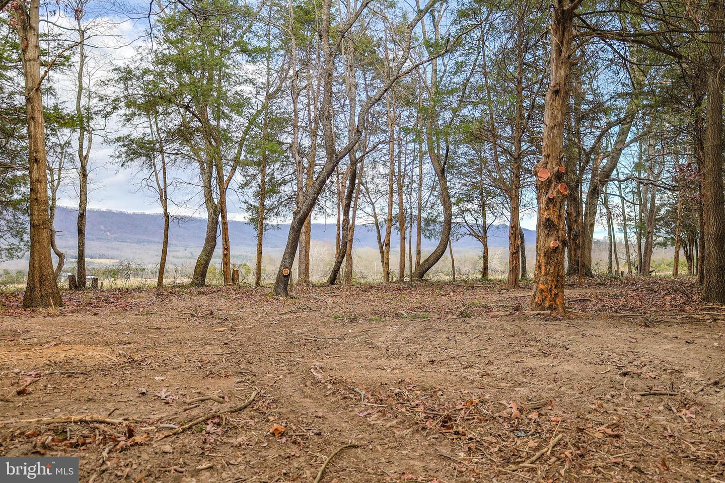 TBD RIVERBEND DR, LURAY, Virginia 22835, ,Land,For sale,TBD RIVERBEND DR,VAPA2005646 MLS # VAPA2005646