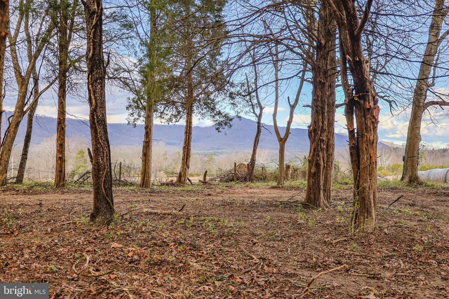 TBD RIVERBEND DR, LURAY, Virginia 22835, ,Land,For sale,TBD RIVERBEND DR,VAPA2005646 MLS # VAPA2005646