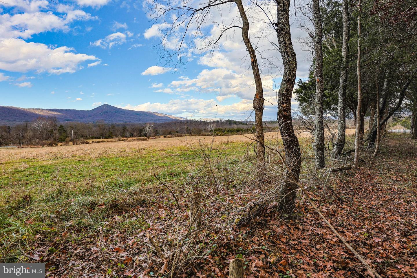 TBD RIVERBEND DR, LURAY, Virginia 22835, ,Land,For sale,TBD RIVERBEND DR,VAPA2005646 MLS # VAPA2005646