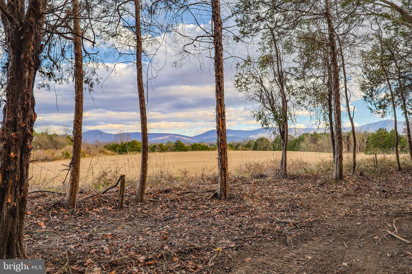 TBD RIVERBEND DR, LURAY, Virginia 22835, ,Land,For sale,TBD RIVERBEND DR,VAPA2005646 MLS # VAPA2005646