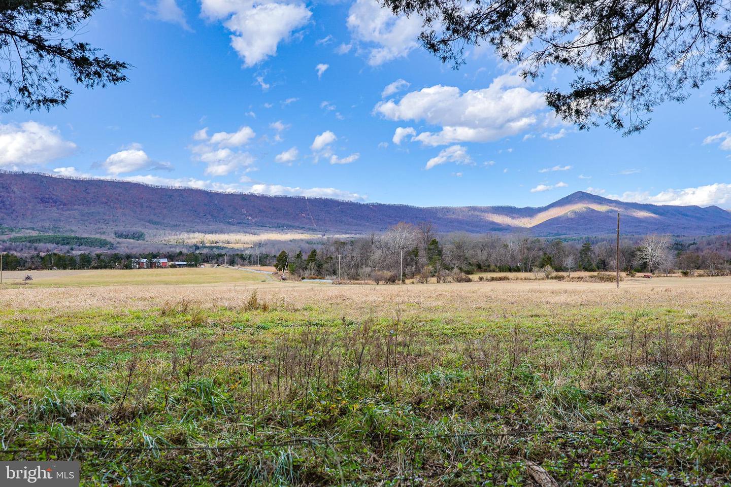 TBD RIVERBEND DR, LURAY, Virginia 22835, ,Land,For sale,TBD RIVERBEND DR,VAPA2005646 MLS # VAPA2005646