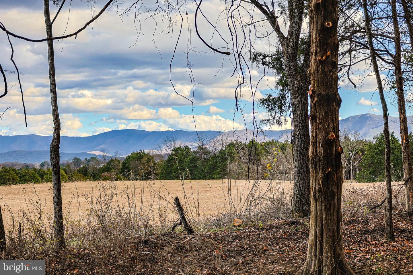 TBD RIVERBEND DR, LURAY, Virginia 22835, ,Land,For sale,TBD RIVERBEND DR,VAPA2005646 MLS # VAPA2005646