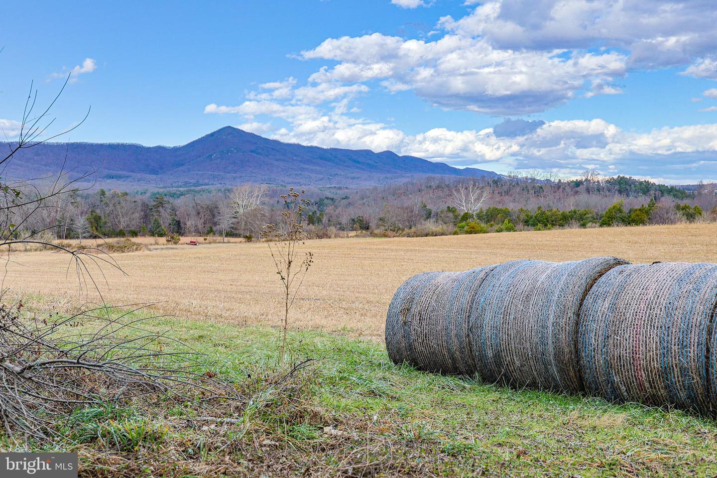 TBD RIVERBEND DR, LURAY, Virginia 22835, ,Land,For sale,TBD RIVERBEND DR,VAPA2005646 MLS # VAPA2005646