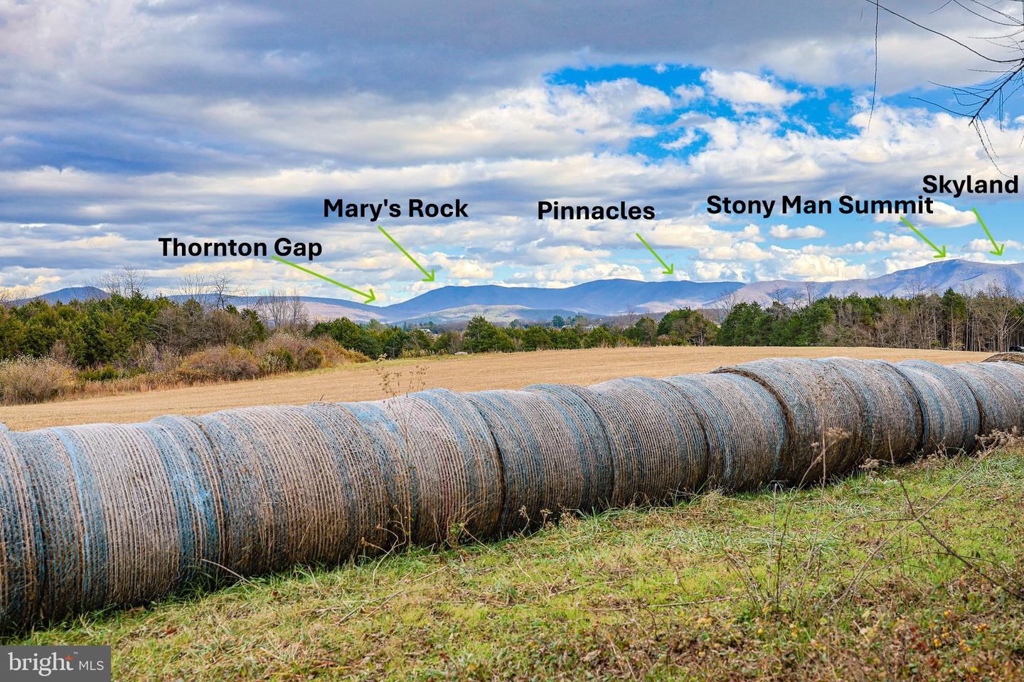 TBD RIVERBEND DR, LURAY, Virginia 22835, ,Land,For sale,TBD RIVERBEND DR,VAPA2005646 MLS # VAPA2005646