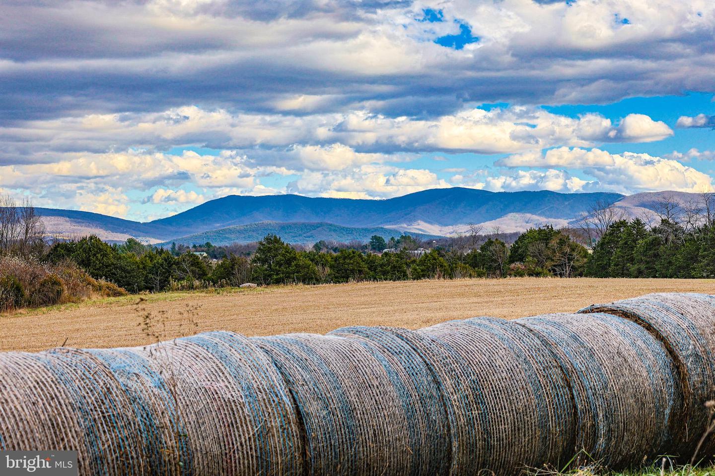 TBD RIVERBEND DR, LURAY, Virginia 22835, ,Land,For sale,TBD RIVERBEND DR,VAPA2005646 MLS # VAPA2005646