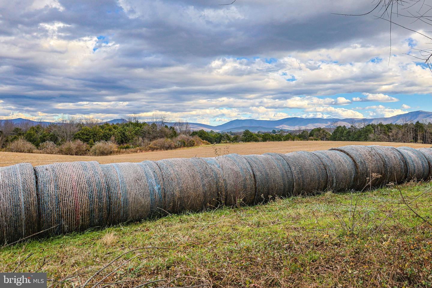 TBD RIVERBEND DR, LURAY, Virginia 22835, ,Land,For sale,TBD RIVERBEND DR,VAPA2005646 MLS # VAPA2005646