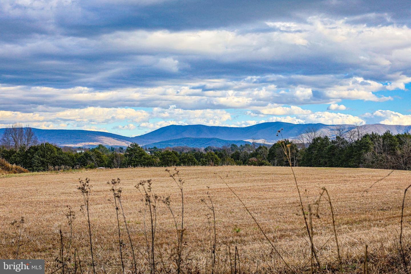 TBD RIVERBEND DR, LURAY, Virginia 22835, ,Land,For sale,TBD RIVERBEND DR,VAPA2005646 MLS # VAPA2005646