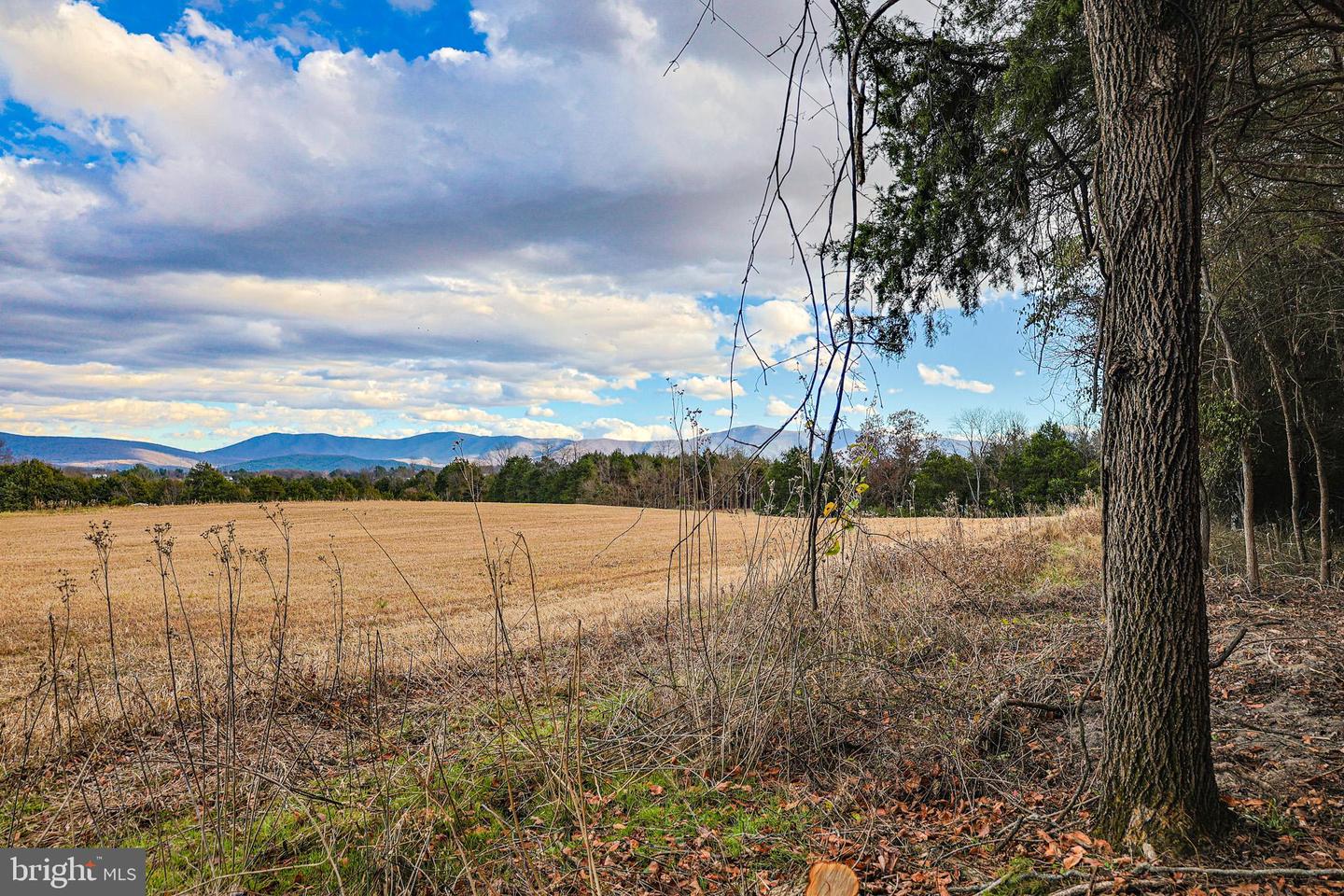 TBD RIVERBEND DR, LURAY, Virginia 22835, ,Land,For sale,TBD RIVERBEND DR,VAPA2005646 MLS # VAPA2005646