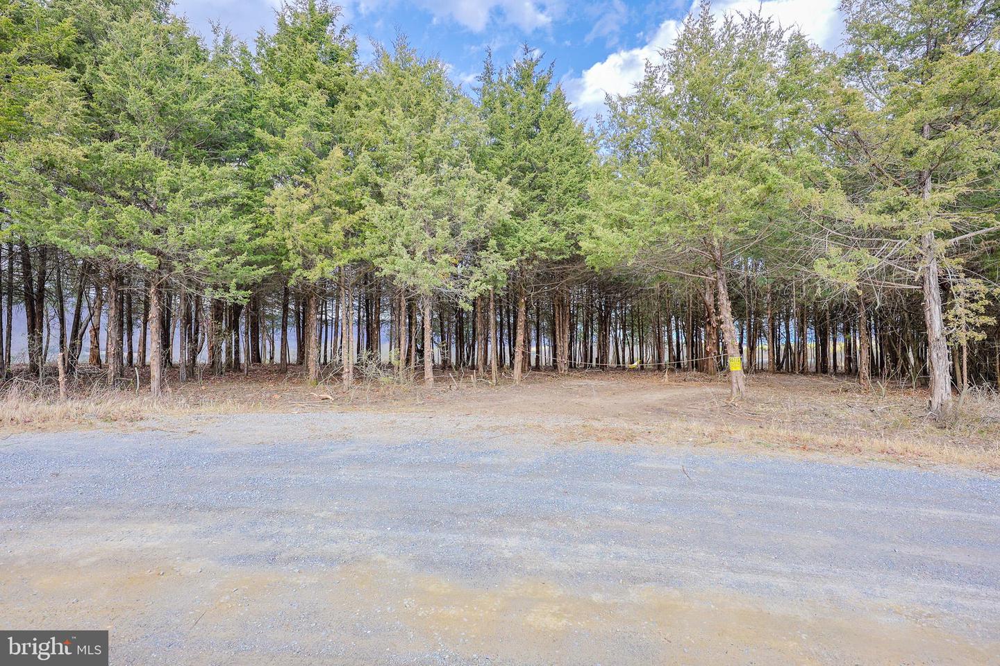 TBD RIVERBEND DR, LURAY, Virginia 22835, ,Land,For sale,TBD RIVERBEND DR,VAPA2005646 MLS # VAPA2005646