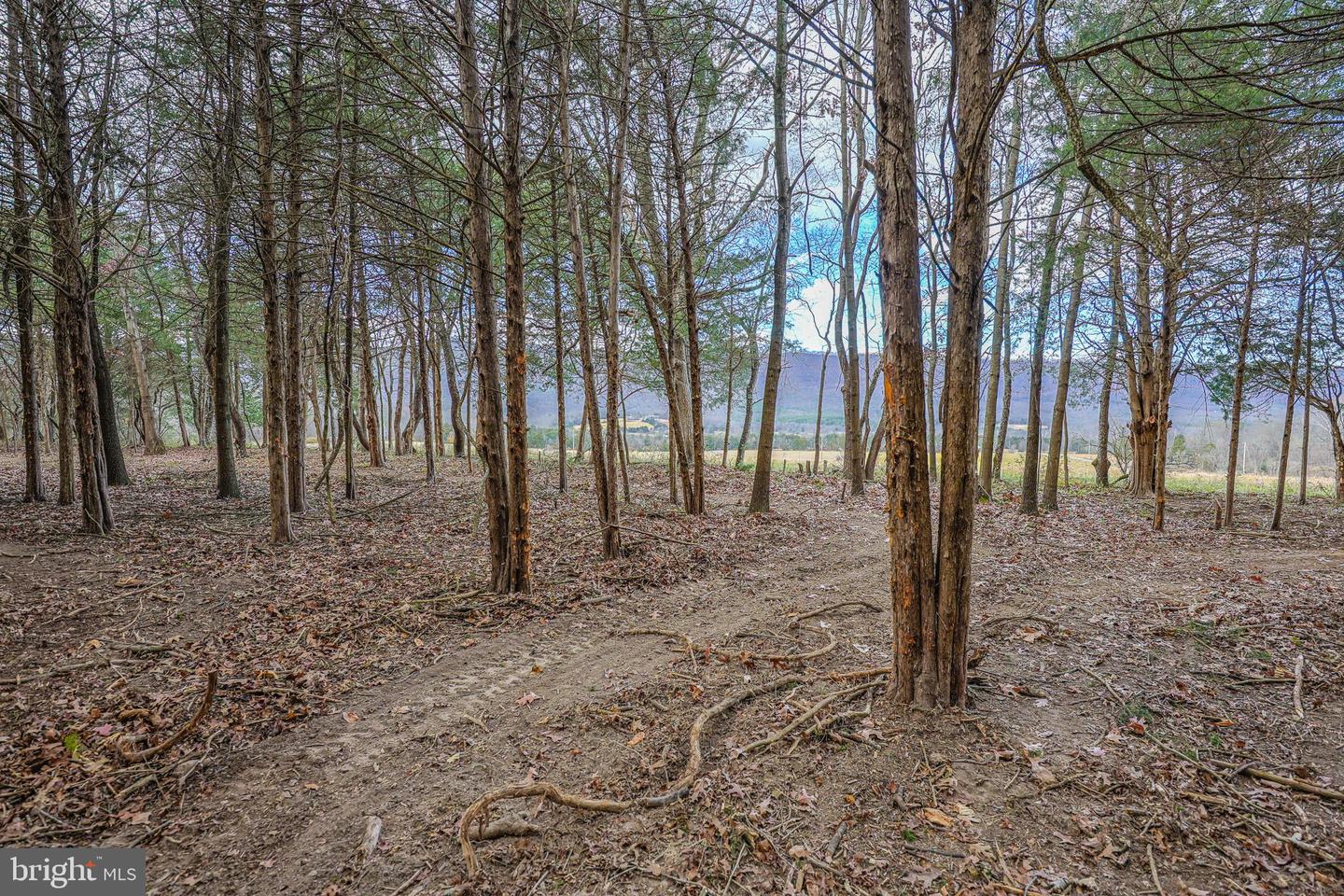 TBD RIVERBEND DR, LURAY, Virginia 22835, ,Land,For sale,TBD RIVERBEND DR,VAPA2005646 MLS # VAPA2005646