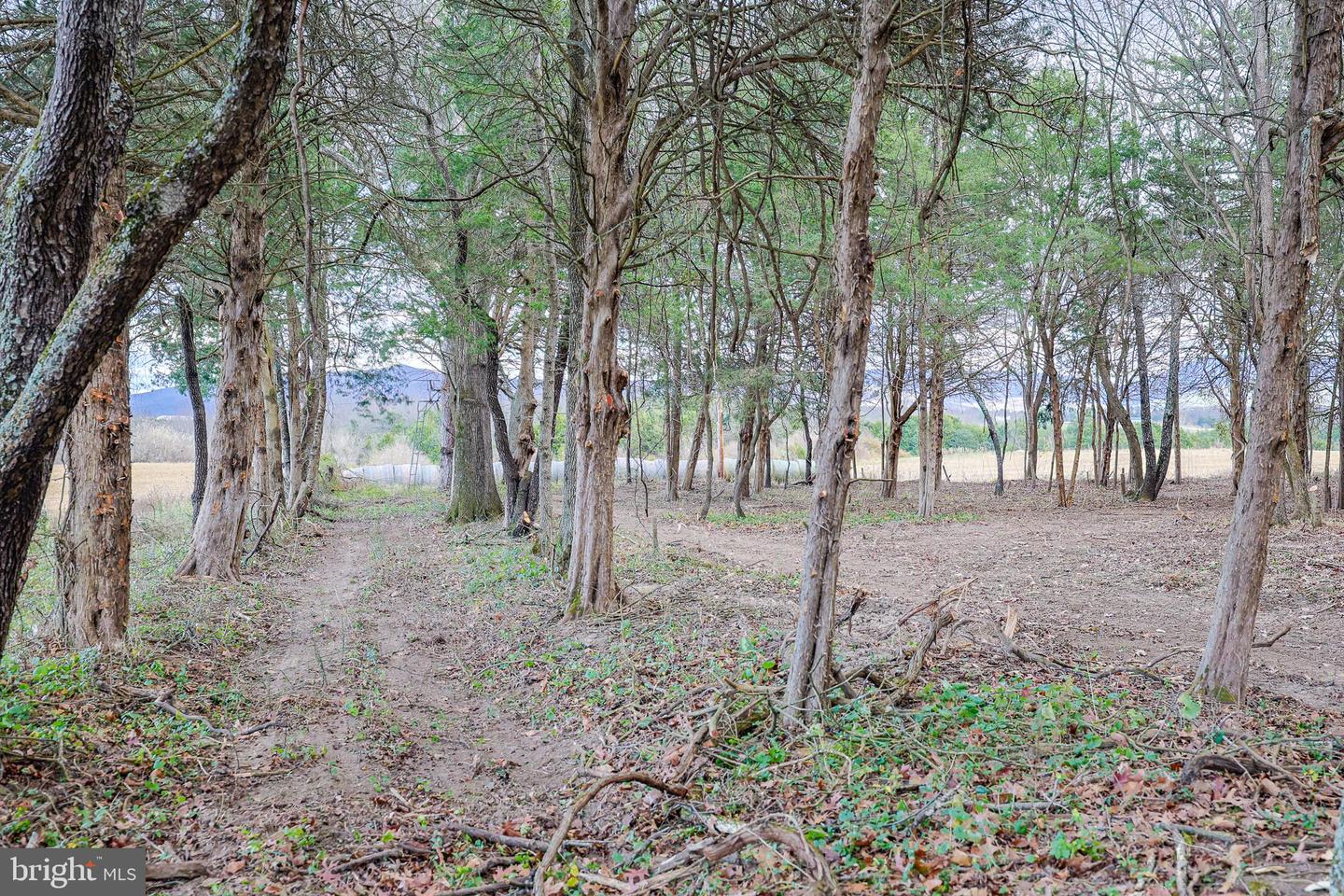 TBD RIVERBEND DR, LURAY, Virginia 22835, ,Land,For sale,TBD RIVERBEND DR,VAPA2005646 MLS # VAPA2005646