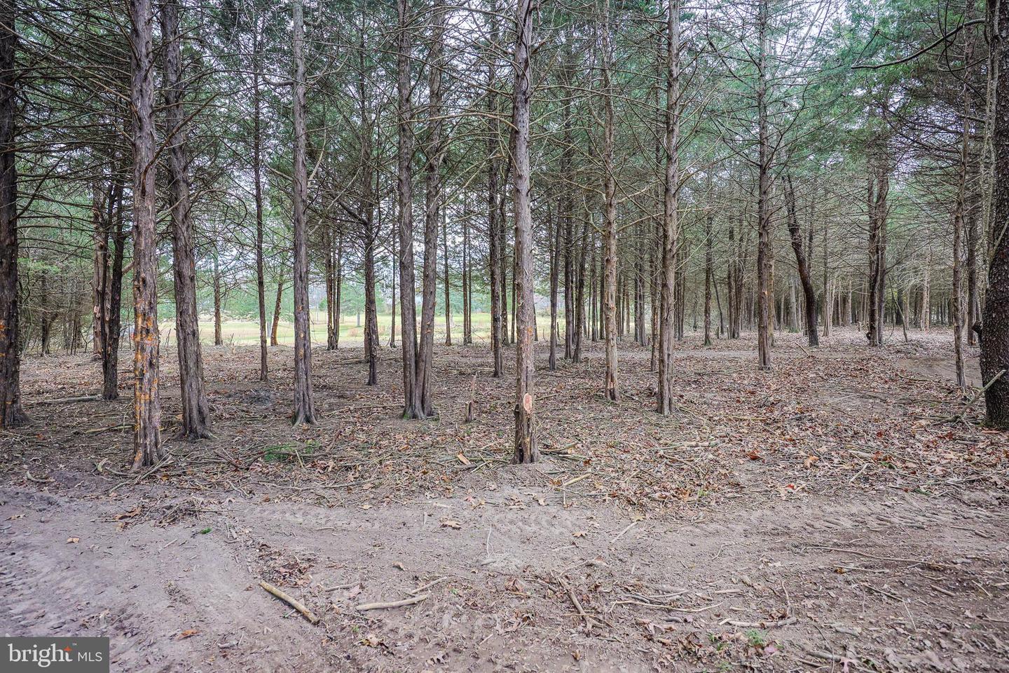 TBD RIVERBEND DR, LURAY, Virginia 22835, ,Land,For sale,TBD RIVERBEND DR,VAPA2005646 MLS # VAPA2005646