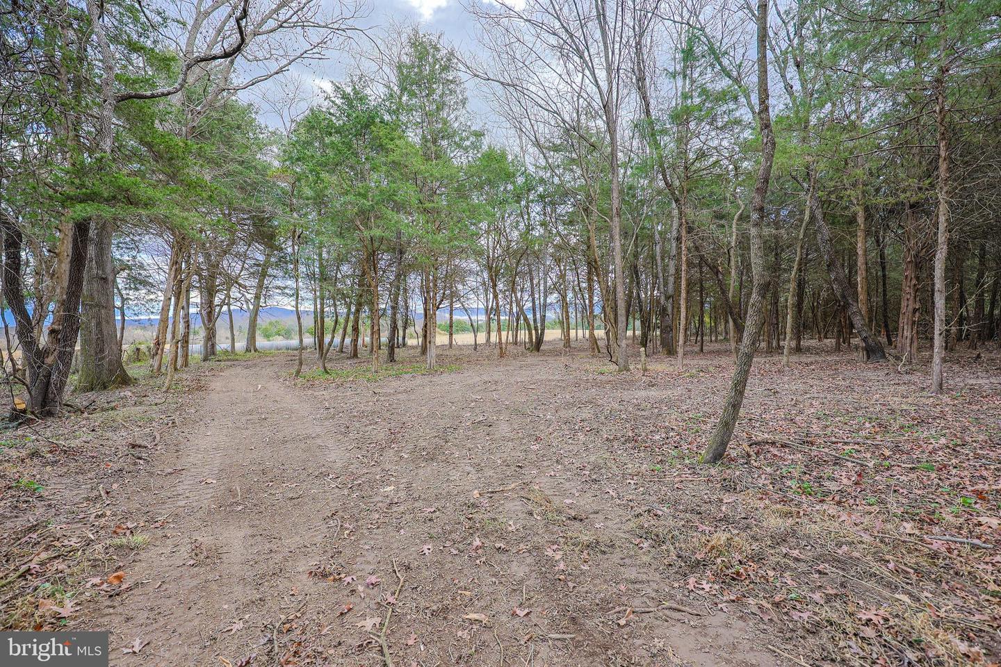 TBD RIVERBEND DR, LURAY, Virginia 22835, ,Land,For sale,TBD RIVERBEND DR,VAPA2005646 MLS # VAPA2005646