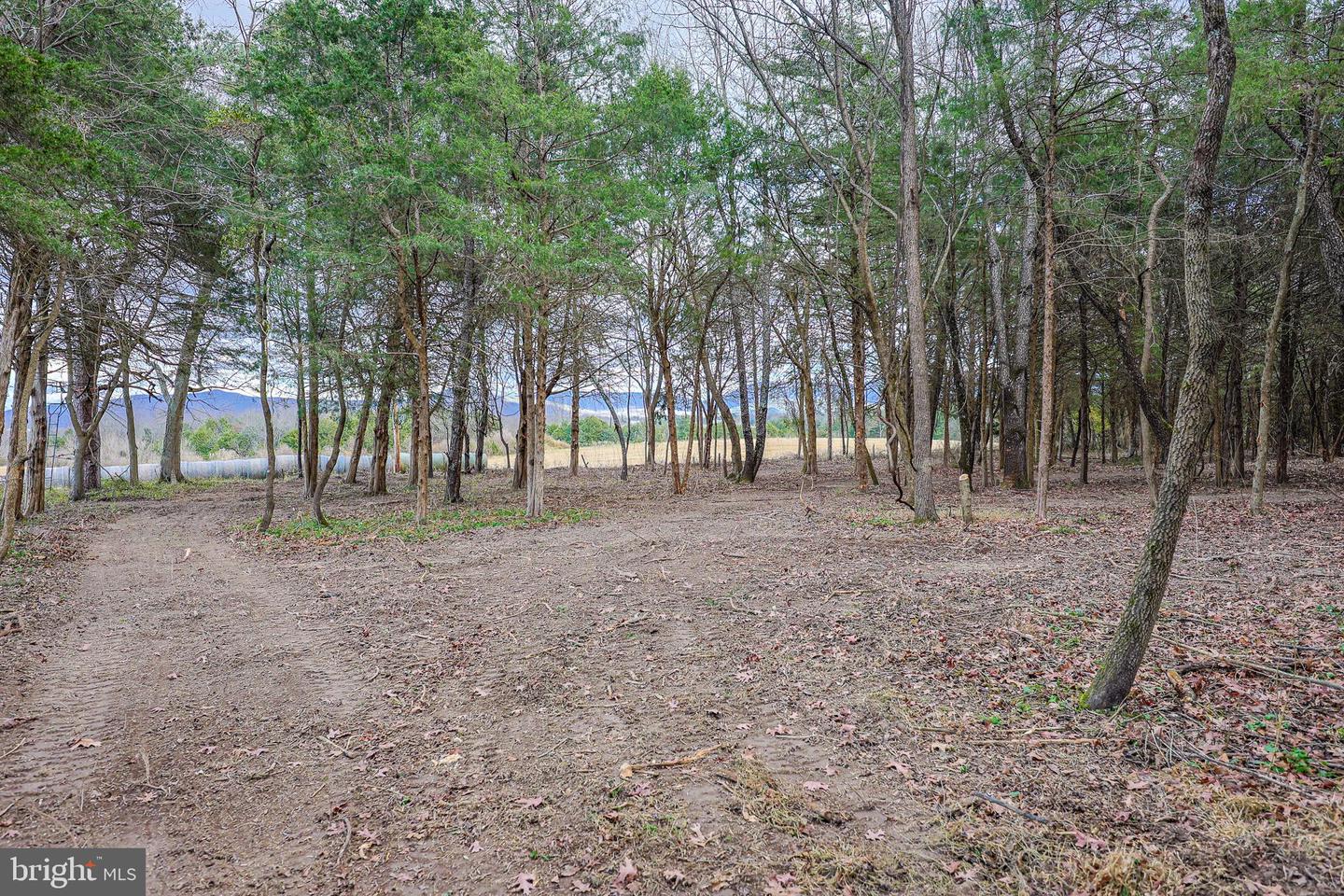 TBD RIVERBEND DR, LURAY, Virginia 22835, ,Land,For sale,TBD RIVERBEND DR,VAPA2005646 MLS # VAPA2005646