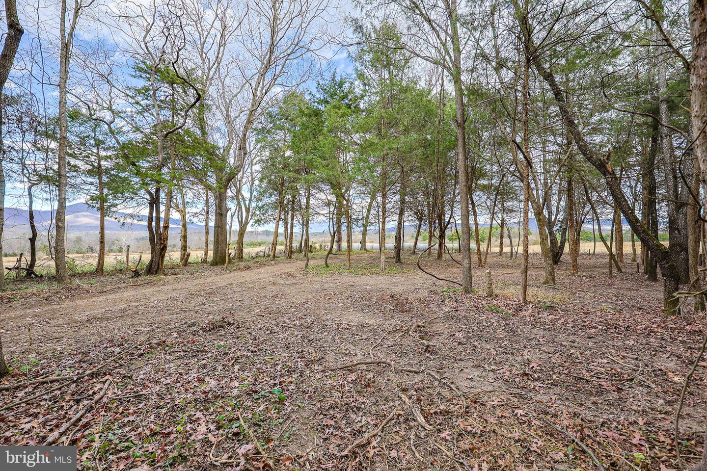 TBD RIVERBEND DR, LURAY, Virginia 22835, ,Land,For sale,TBD RIVERBEND DR,VAPA2005646 MLS # VAPA2005646