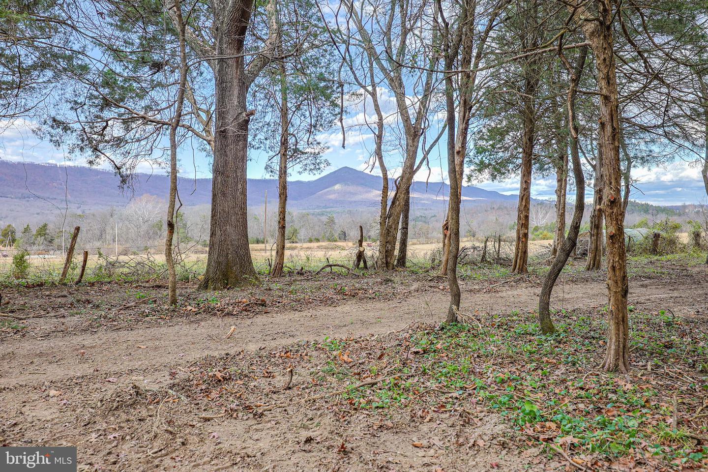 TBD RIVERBEND DR, LURAY, Virginia 22835, ,Land,For sale,TBD RIVERBEND DR,VAPA2005646 MLS # VAPA2005646