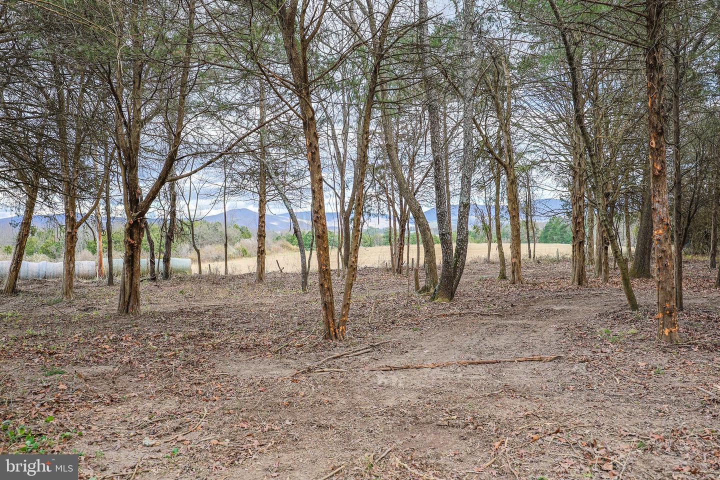 TBD RIVERBEND DR, LURAY, Virginia 22835, ,Land,For sale,TBD RIVERBEND DR,VAPA2005646 MLS # VAPA2005646