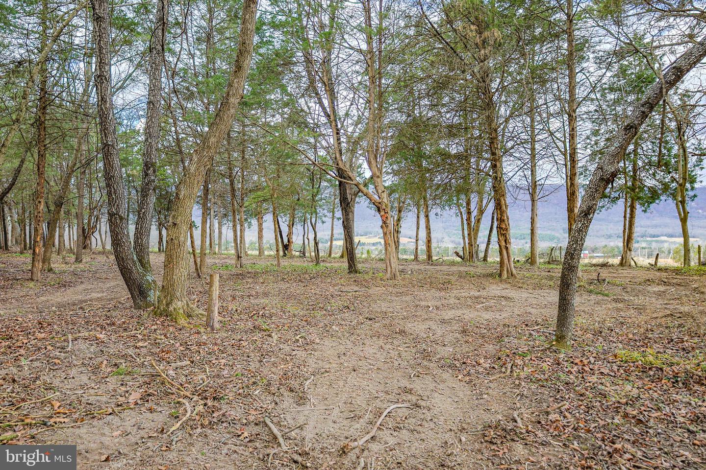 TBD RIVERBEND DR, LURAY, Virginia 22835, ,Land,For sale,TBD RIVERBEND DR,VAPA2005646 MLS # VAPA2005646