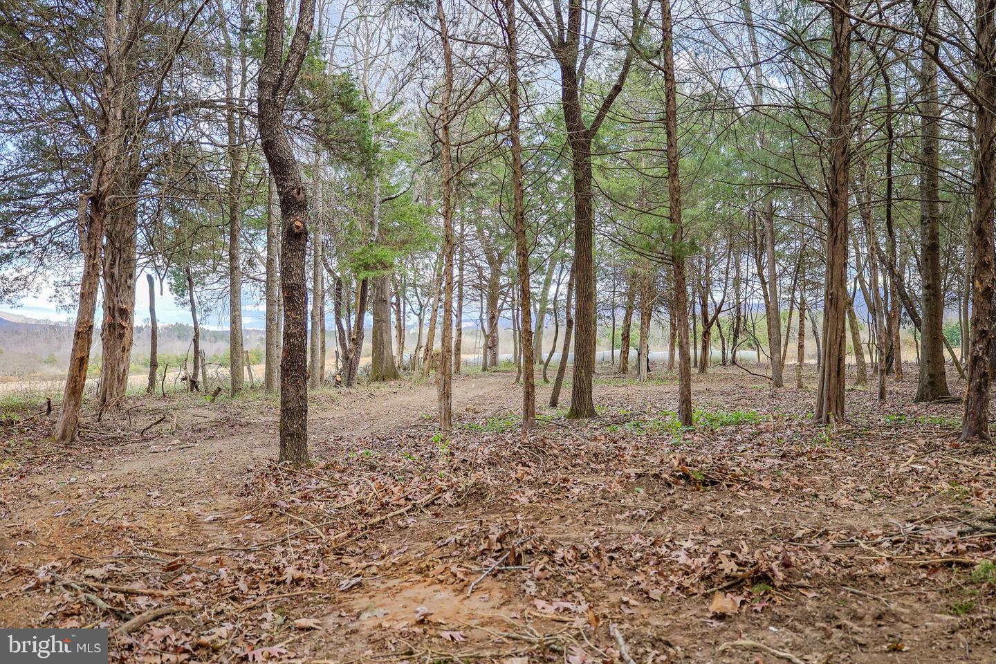 TBD RIVERBEND DR, LURAY, Virginia 22835, ,Land,For sale,TBD RIVERBEND DR,VAPA2005646 MLS # VAPA2005646