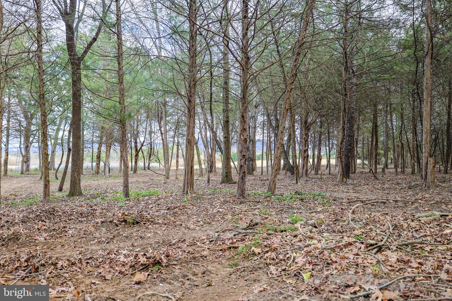 TBD RIVERBEND DR, LURAY, Virginia 22835, ,Land,For sale,TBD RIVERBEND DR,VAPA2005646 MLS # VAPA2005646