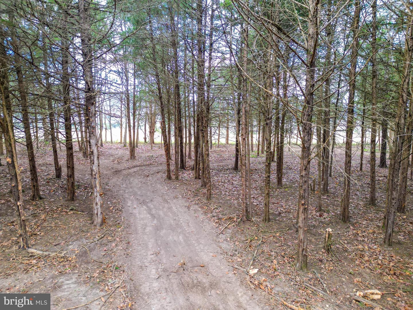 TBD RIVERBEND DR, LURAY, Virginia 22835, ,Land,For sale,TBD RIVERBEND DR,VAPA2005646 MLS # VAPA2005646