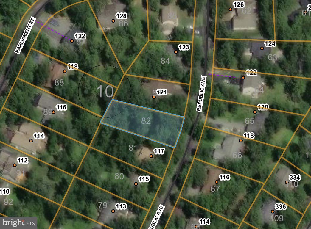 119 REPUBLIC AVE, LOCUST GROVE, Virginia 22508, ,Land,For sale,119 REPUBLIC AVE,VAOR2012900 MLS # VAOR2012900 119 REPUBLIC AVE, LOCUST GROVE, Virginia 22508, ,Land,For sale,119 REPUBLIC AVE,VAOR2012900 MLS # VAOR2012900