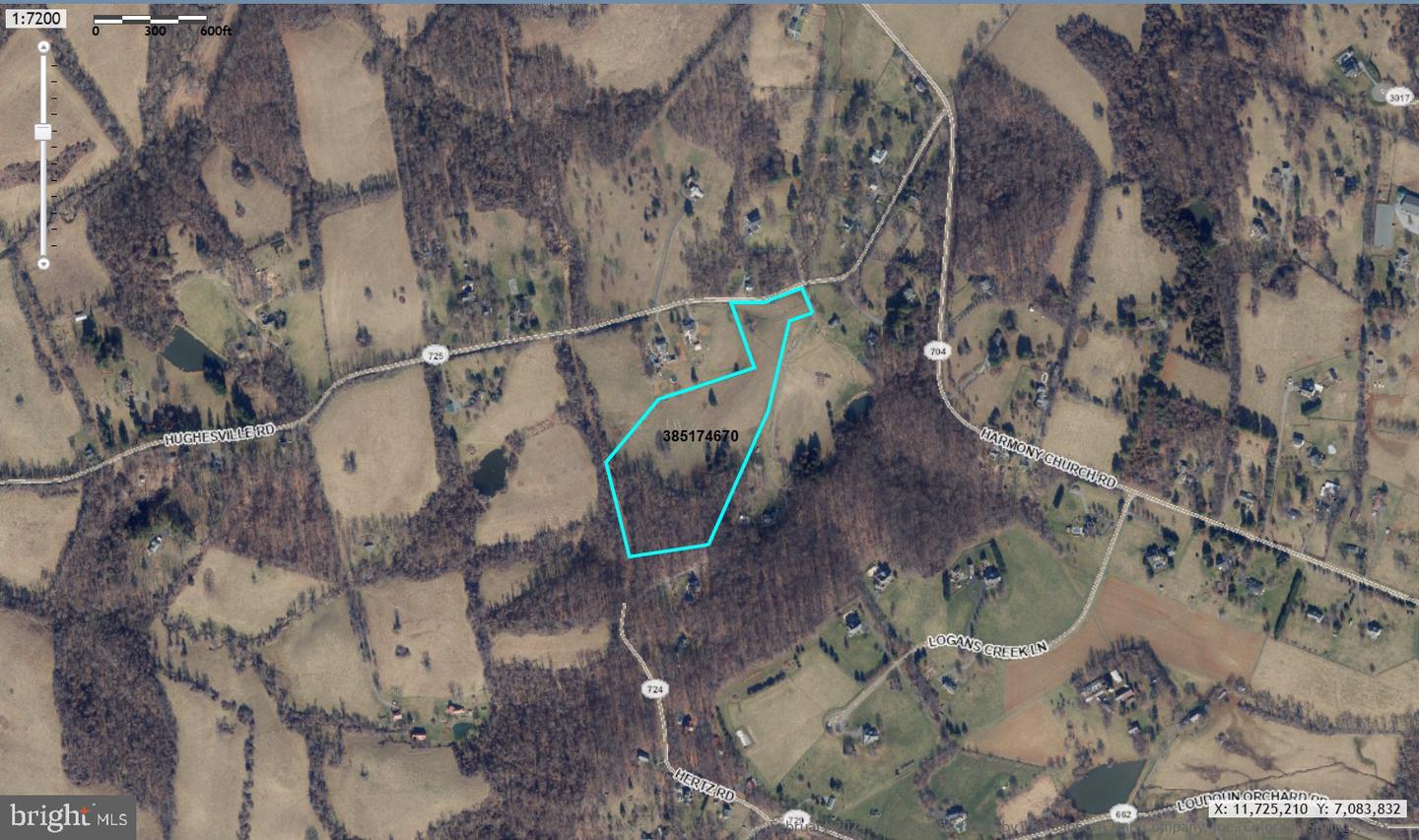 BOLEN DIV OF LAND, LOT 5 HUGHESVILLE RD, HAMILTON, Virginia 20158, ,Land,For sale,BOLEN DIV OF LAND, LOT 5 HUGHESVILLE RD,VALO2111952 MLS # VALO2111952 BOLEN DIV OF LAND, LOT 5 HUGHESVILLE RD, HAMILTON, Virginia 20158, ,Land,For sale,BOLEN DIV OF LAND, LOT 5 HUGHESVILLE RD,VALO2111952 MLS # VALO2111952