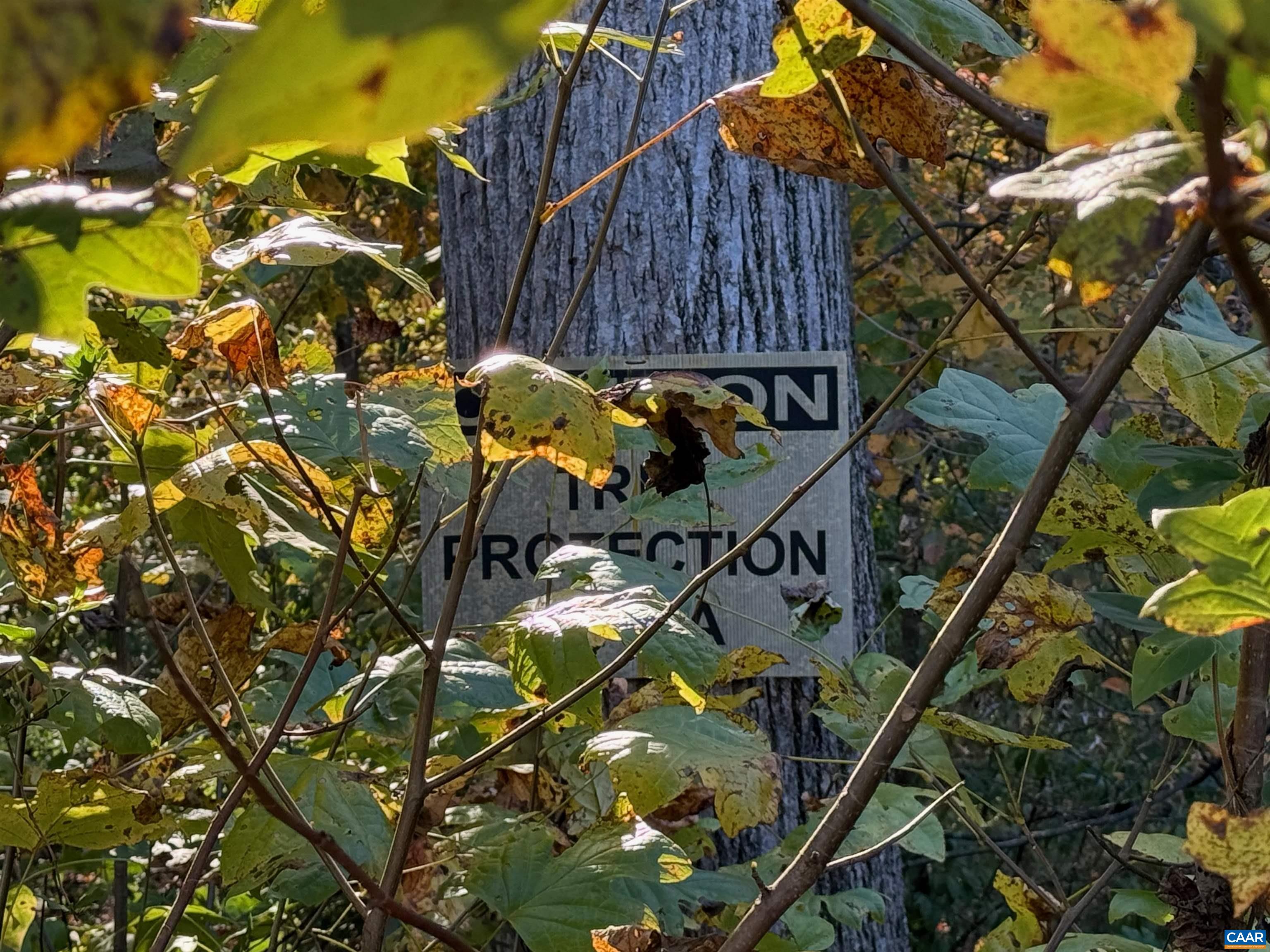 5227 SPARROW HILL LN, CHARLOTTESVILLE, Virginia 22903, 3 Bedrooms Bedrooms, ,3 BathroomsBathrooms,Residential,5227 SPARROW HILL LN,670810 MLS # 670810 5227 SPARROW HILL LN, CHARLOTTESVILLE, Virginia 22903, 3 Bedrooms Bedrooms, ,3 BathroomsBathrooms,Residential,5227 SPARROW HILL LN,670810 MLS # 670810