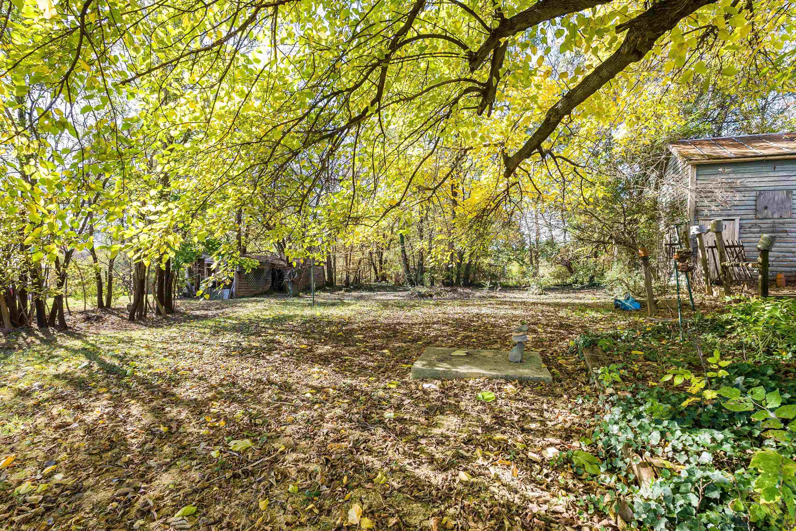 8786 NORTH VALLEY PIKE, ROCKINGHAM, Virginia 22802, 3 Bedrooms Bedrooms, ,1 BathroomBathrooms,Residential,8786 NORTH VALLEY PIKE,670380 MLS # 670380 8786 NORTH VALLEY PIKE, ROCKINGHAM, Virginia 22802, 3 Bedrooms Bedrooms, ,1 BathroomBathrooms,Residential,8786 NORTH VALLEY PIKE,670380 MLS # 670380