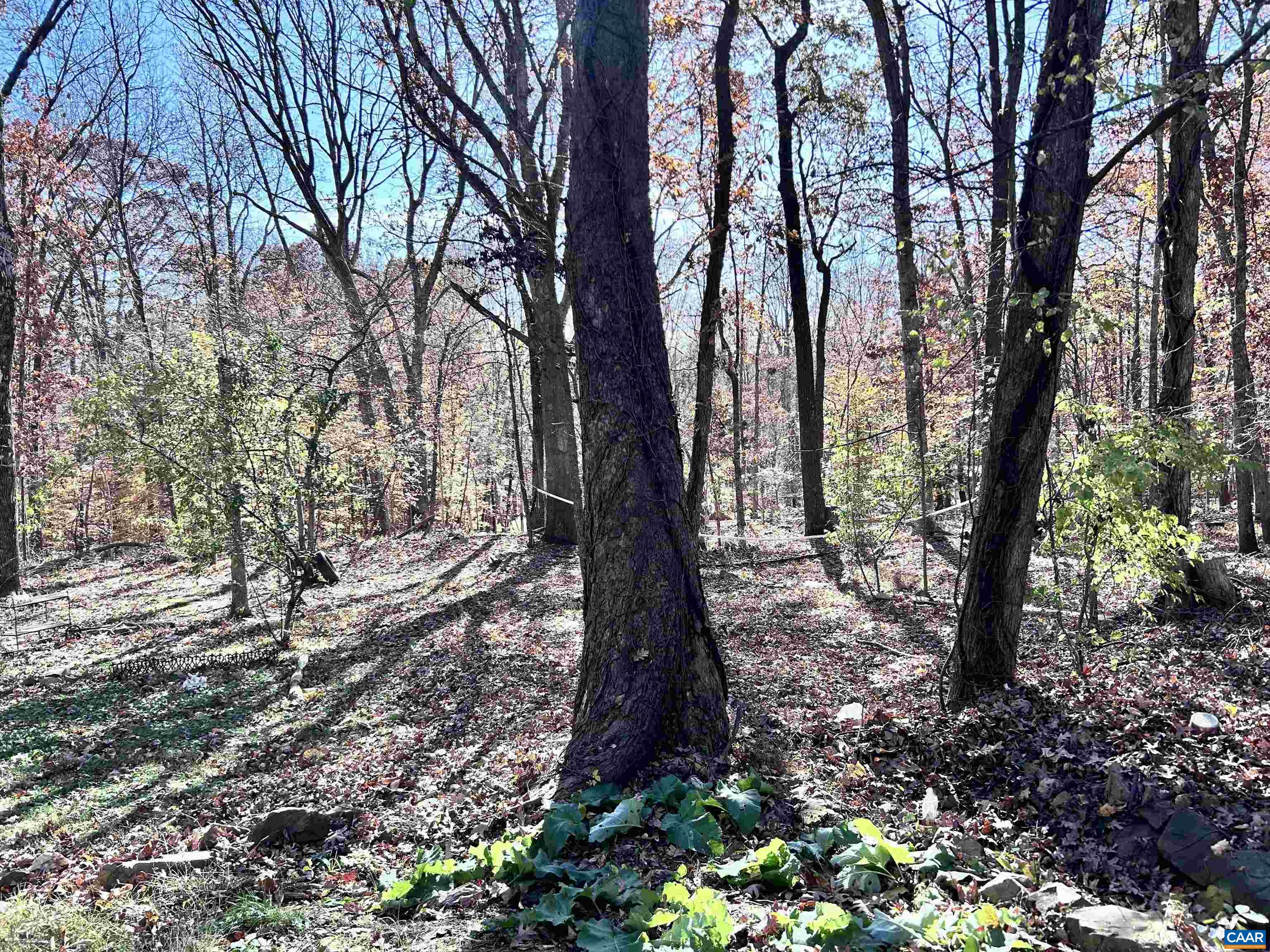 2003 SWEET HOLLOW LN, CHARLOTTESVILLE, Virginia 22903, 3 Bedrooms Bedrooms, ,1 BathroomBathrooms,Residential,2003 SWEET HOLLOW LN,671638 MLS # 671638