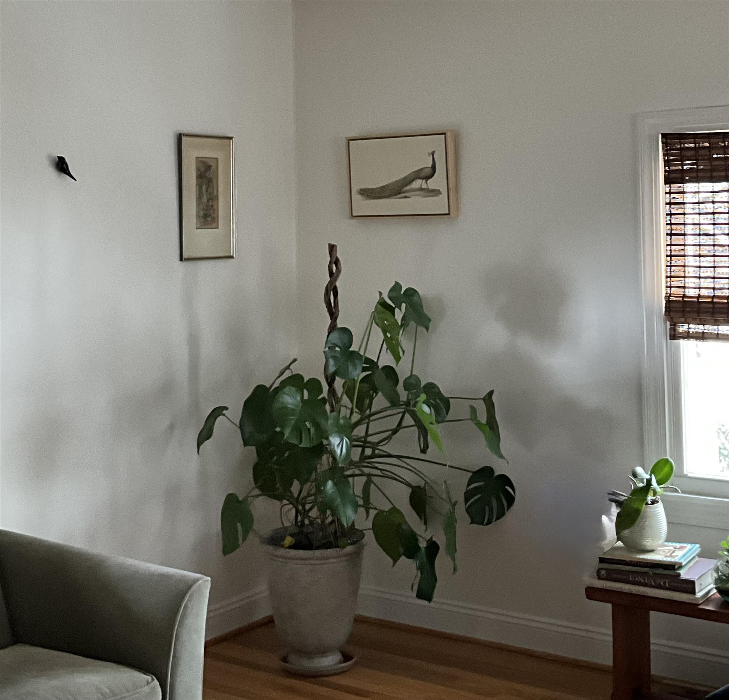 816 PARKVIEW AVE, STAUNTON, Virginia 24401, 4 Bedrooms Bedrooms, ,2 BathroomsBathrooms,Residential,816 PARKVIEW AVE,671661 MLS # 671661 816 PARKVIEW AVE, STAUNTON, Virginia 24401, 4 Bedrooms Bedrooms, ,2 BathroomsBathrooms,Residential,816 PARKVIEW AVE,671661 MLS # 671661