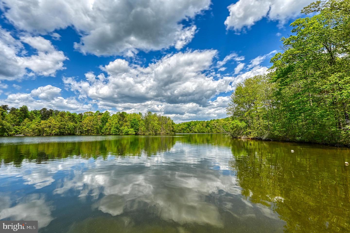 12029 SYCAMORE SHOALS DR, BUMPASS, Virginia 23024, 6 Bedrooms Bedrooms, ,5 BathroomsBathrooms,Residential,For sale,12029 SYCAMORE SHOALS DR,VASP2037006 MLS # VASP2037006 12029 SYCAMORE SHOALS DR, BUMPASS, Virginia 23024, 6 Bedrooms Bedrooms, ,5 BathroomsBathrooms,Residential,For sale,12029 SYCAMORE SHOALS DR,VASP2037006 MLS # VASP2037006