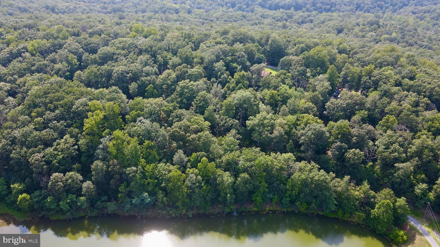 GUSSIN WAY, LINDEN, Virginia 22642, ,Land,For sale,GUSSIN WAY,VAWR2011836 MLS # VAWR2011836 GUSSIN WAY, LINDEN, Virginia 22642, ,Land,For sale,GUSSIN WAY,VAWR2011836 MLS # VAWR2011836