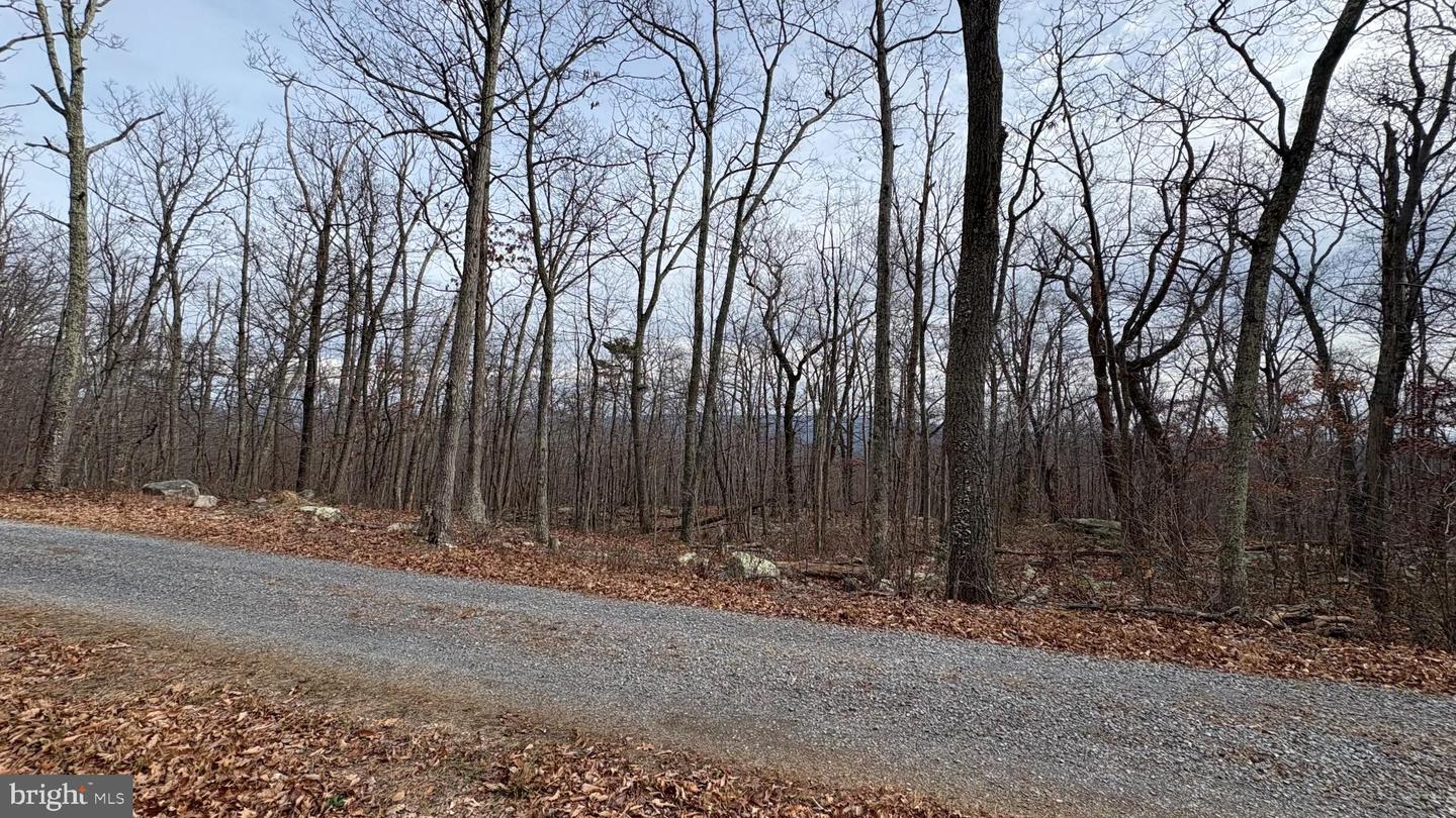 LOT 57, 58, 59 IROQUOIS TRL, WINCHESTER, Virginia 22602, ,Land,For sale,LOT 57, 58, 59 IROQUOIS TRL,VAFV2038324 MLS # VAFV2038324 LOT 57, 58, 59 IROQUOIS TRL, WINCHESTER, Virginia 22602, ,Land,For sale,LOT 57, 58, 59 IROQUOIS TRL,VAFV2038324 MLS # VAFV2038324