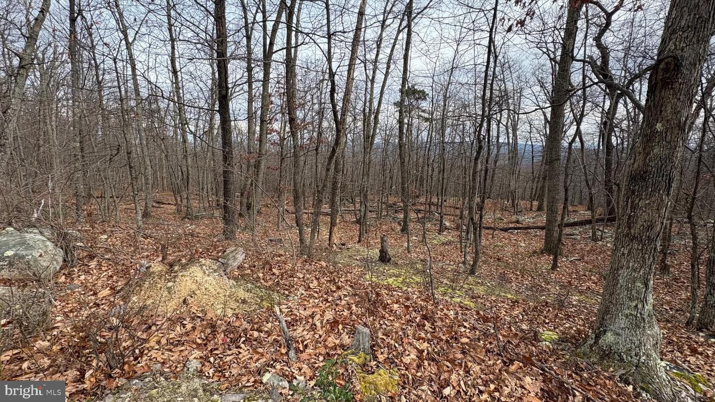 LOT 57, 58, 59 IROQUOIS TRL, WINCHESTER, Virginia 22602, ,Land,For sale,LOT 57, 58, 59 IROQUOIS TRL,VAFV2038324 MLS # VAFV2038324 LOT 57, 58, 59 IROQUOIS TRL, WINCHESTER, Virginia 22602, ,Land,For sale,LOT 57, 58, 59 IROQUOIS TRL,VAFV2038324 MLS # VAFV2038324