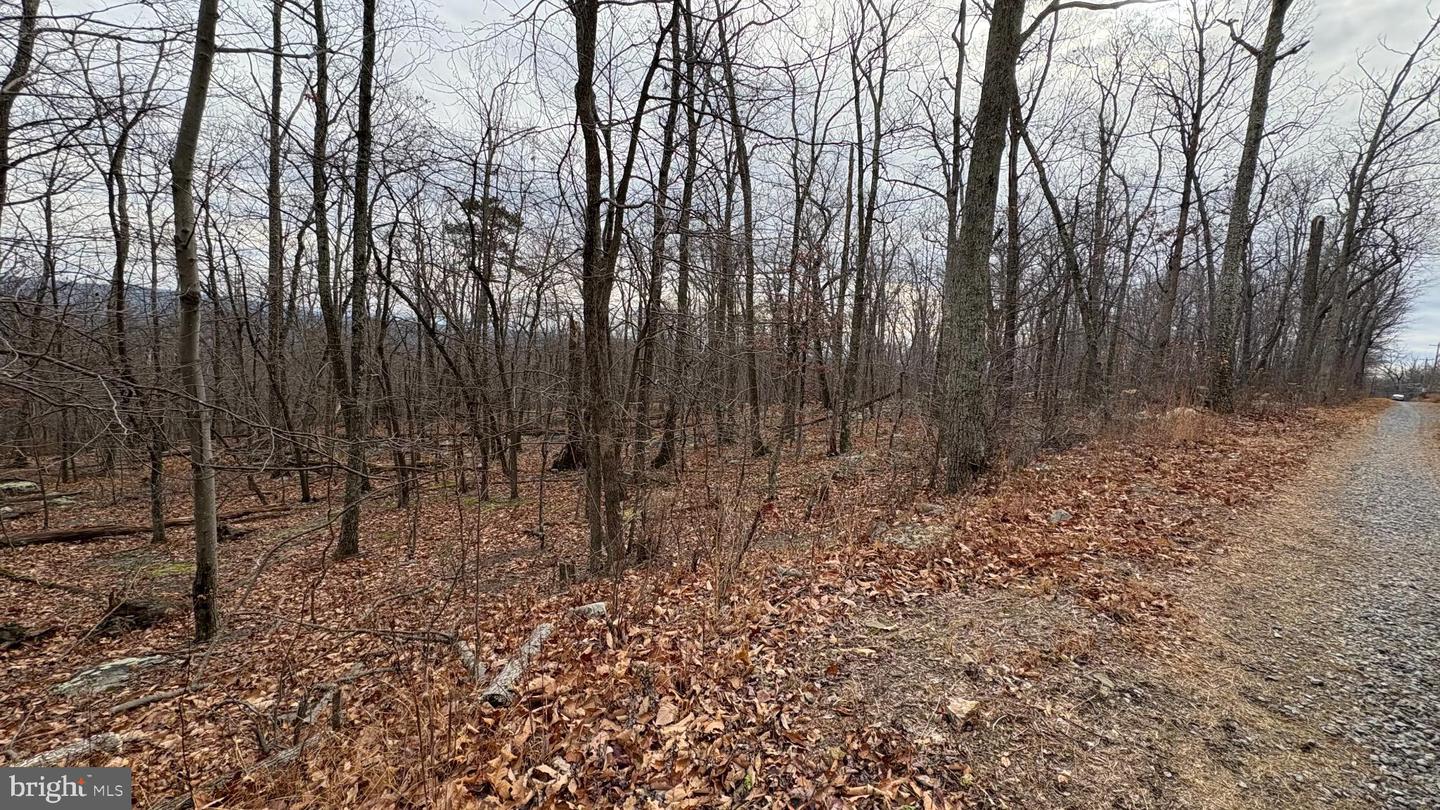 LOT 57, 58, 59 IROQUOIS TRL, WINCHESTER, Virginia 22602, ,Land,For sale,LOT 57, 58, 59 IROQUOIS TRL,VAFV2038324 MLS # VAFV2038324 LOT 57, 58, 59 IROQUOIS TRL, WINCHESTER, Virginia 22602, ,Land,For sale,LOT 57, 58, 59 IROQUOIS TRL,VAFV2038324 MLS # VAFV2038324