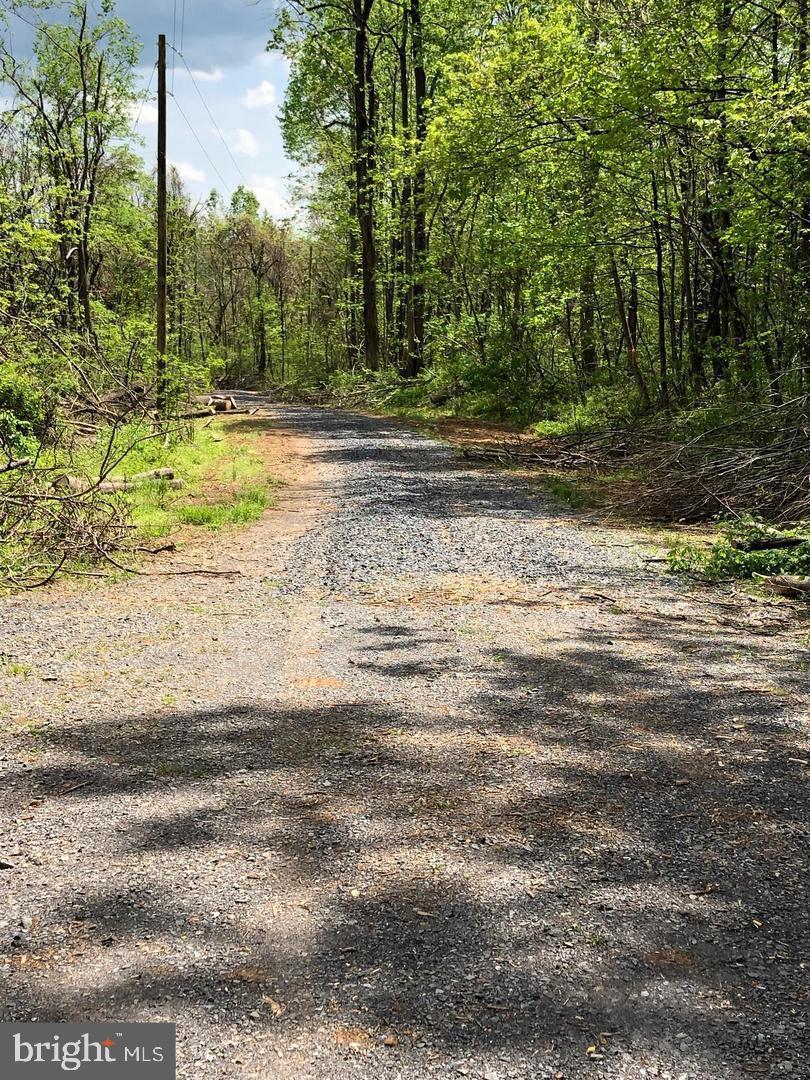 0 OLD ORCHARD RD, LINDEN, Virginia 22642, ,Land,For sale,0 OLD ORCHARD RD,VAWR2012916 MLS # VAWR2012916 0 OLD ORCHARD RD, LINDEN, Virginia 22642, ,Land,For sale,0 OLD ORCHARD RD,VAWR2012916 MLS # VAWR2012916