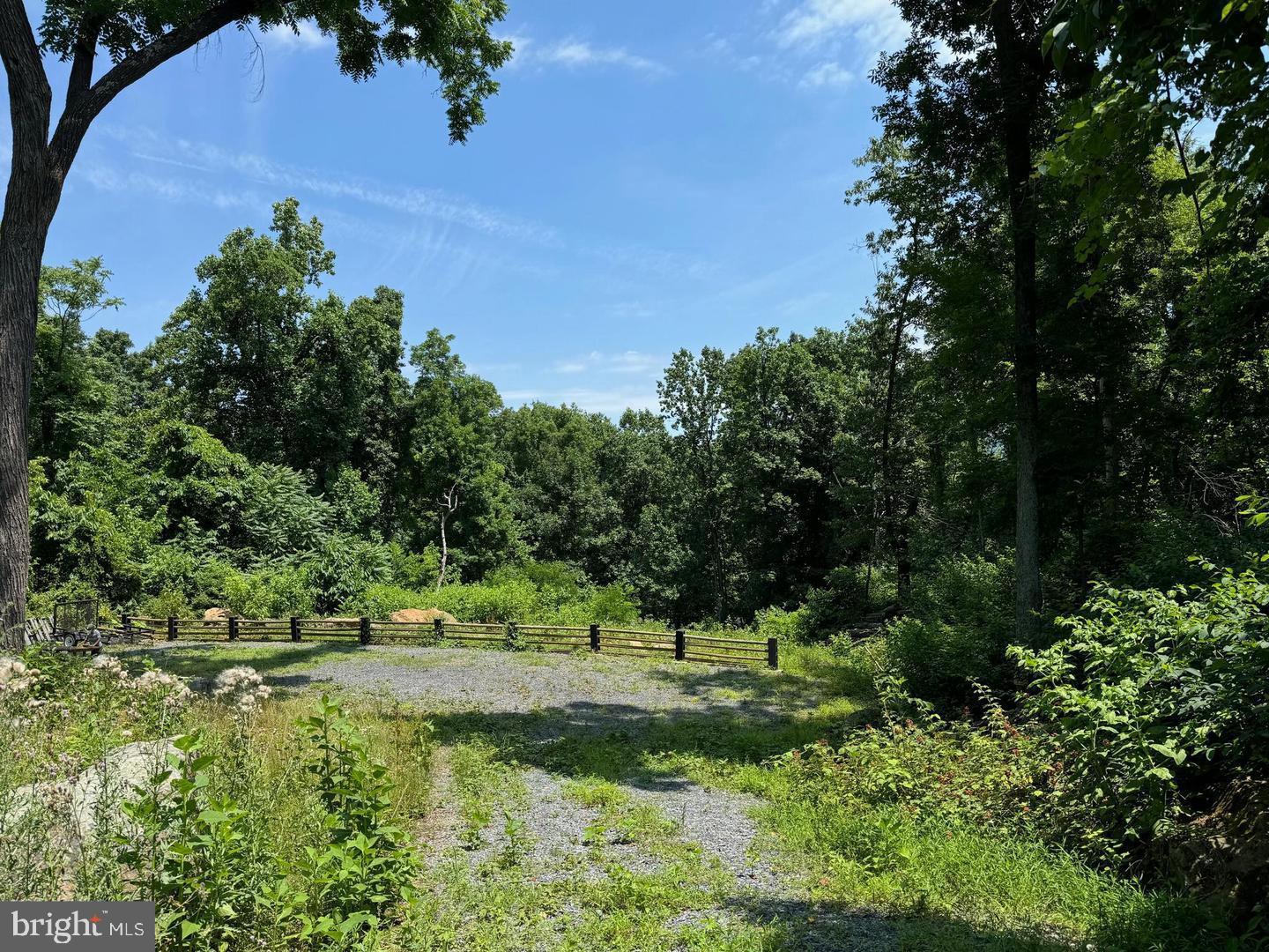 0 OLD ORCHARD RD, LINDEN, Virginia 22642, ,Land,For sale,0 OLD ORCHARD RD,VAWR2012916 MLS # VAWR2012916 0 OLD ORCHARD RD, LINDEN, Virginia 22642, ,Land,For sale,0 OLD ORCHARD RD,VAWR2012916 MLS # VAWR2012916