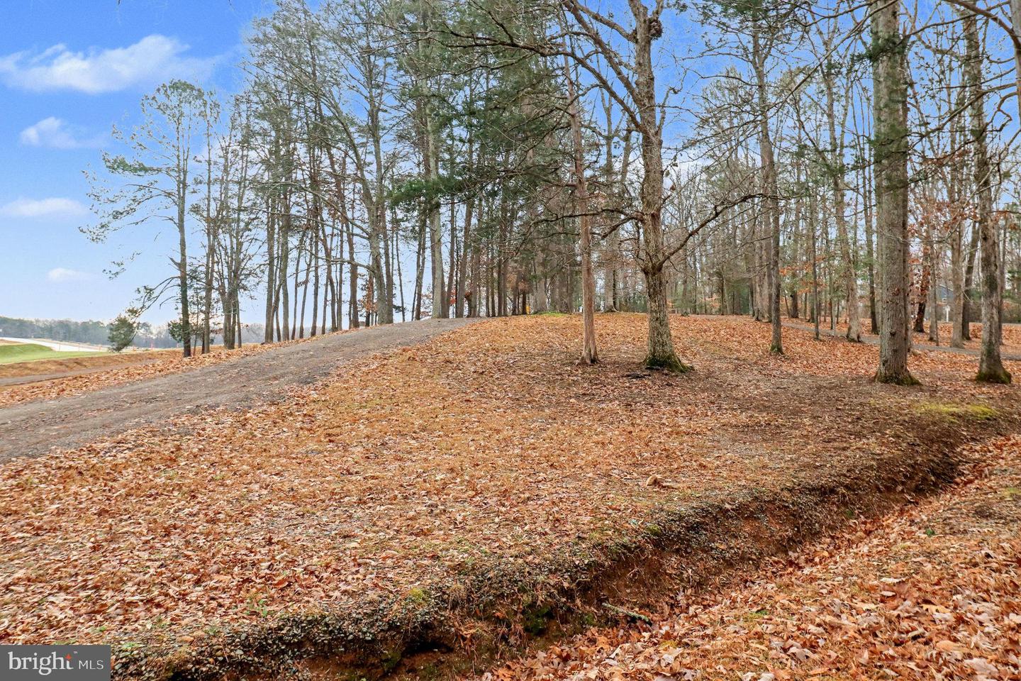 242 CEDAR RIDGE DR, RUTHER GLEN, Virginia 22546, 4 Bedrooms Bedrooms, ,2 BathroomsBathrooms,Residential,For sale,242 CEDAR RIDGE DR,VACV2009242 MLS # VACV2009242 242 CEDAR RIDGE DR, RUTHER GLEN, Virginia 22546, 4 Bedrooms Bedrooms, ,2 BathroomsBathrooms,Residential,For sale,242 CEDAR RIDGE DR,VACV2009242 MLS # VACV2009242